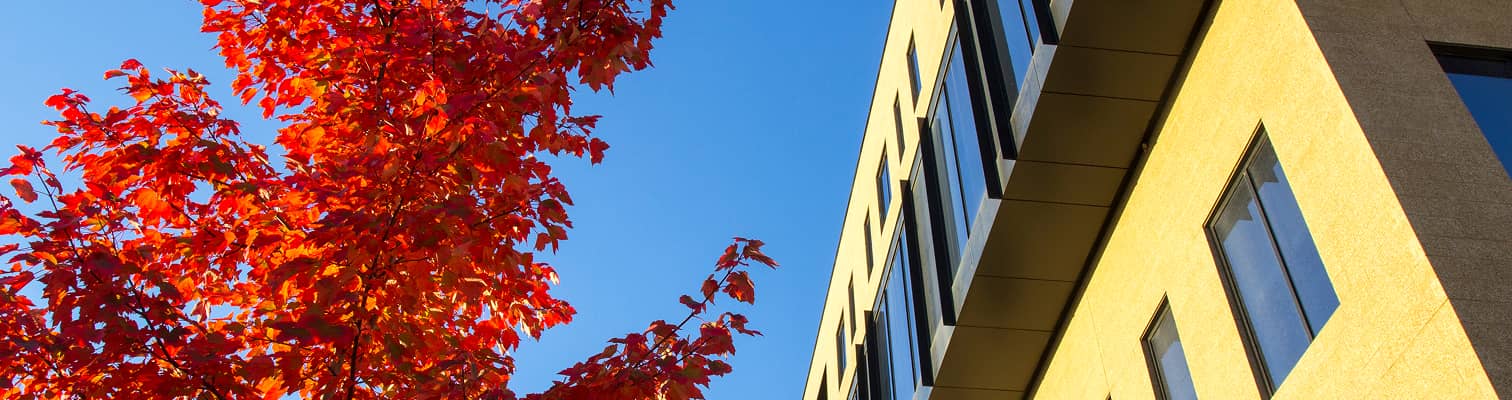 Photograph of University of Arkansas Campus