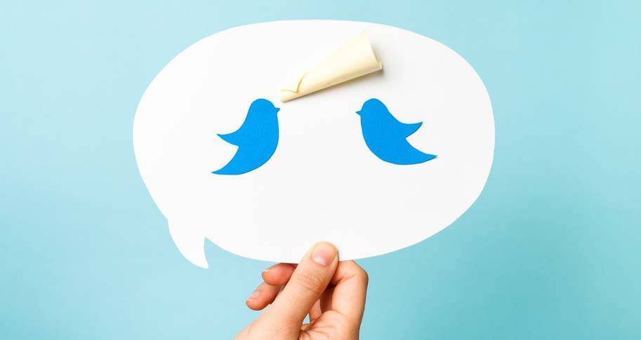 Twitter birds in a speech bubble with a paper shaped megaphone