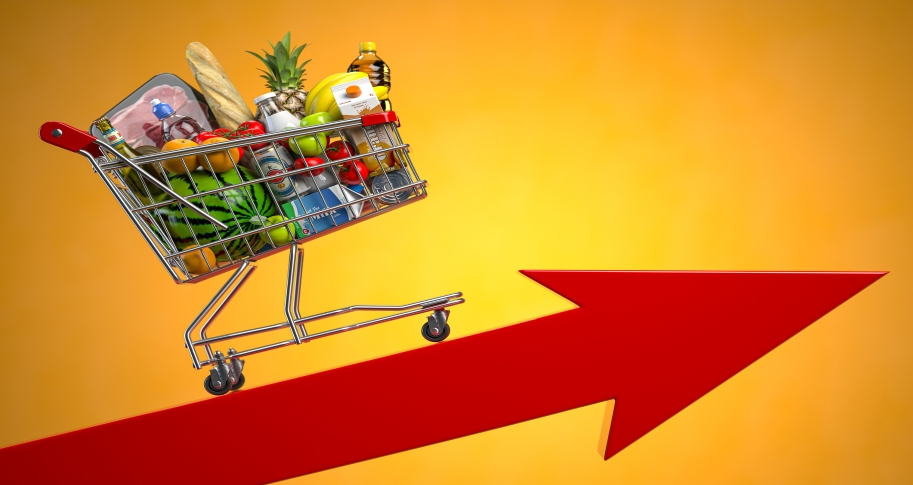 A full grocery cart moves along an upward slanted arrow representing inflation.