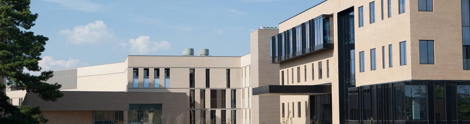 Photograph of University of Arkansas Campus