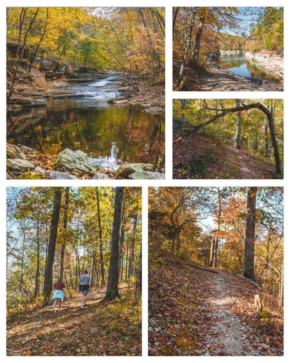 fall colors collage