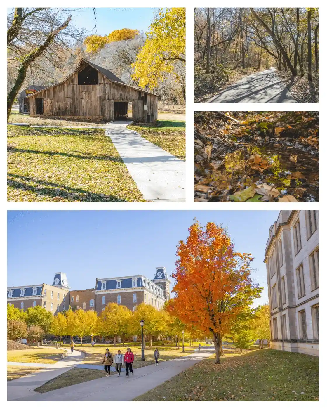 fall colors walks overlooks nwa