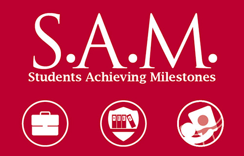Students achieving Milestones Program